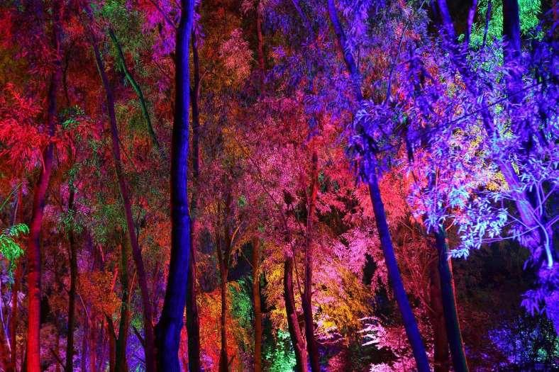 老人晕倒心脏骤停医警紧急送医，医生：再晚10分钟后果不堪设想