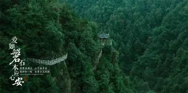 丧尸围城4