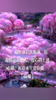 逃离神秘老林